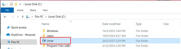 SOLIDWORKS PDM local vault view setup